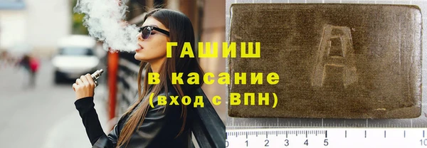 индика Бородино