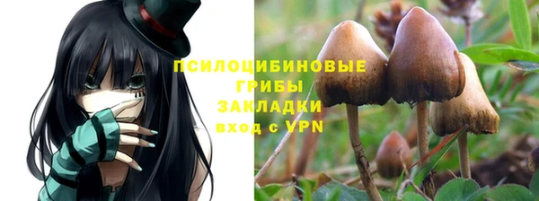 хмурый Бронницы
