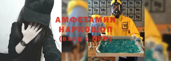 индика Бородино