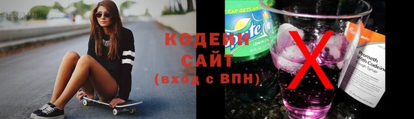индика Бородино