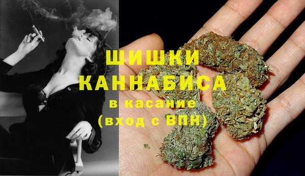 стафф Богородицк