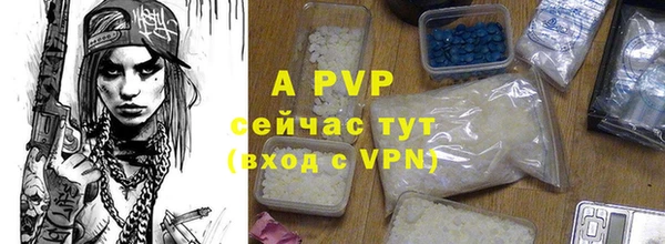скорость Богданович