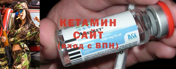индика Бородино