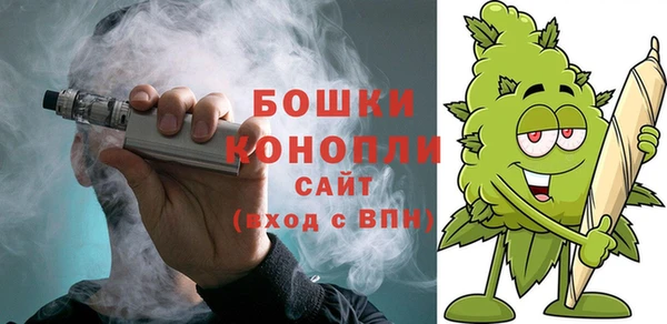 молекула духа Богородск