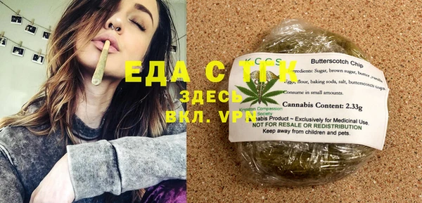 индика Бородино