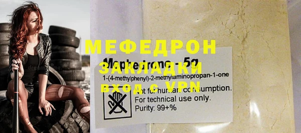 индика Бородино